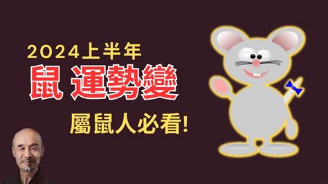 2024鼠年運程1996|属鼠1996年出生的人2024年全年运程运势